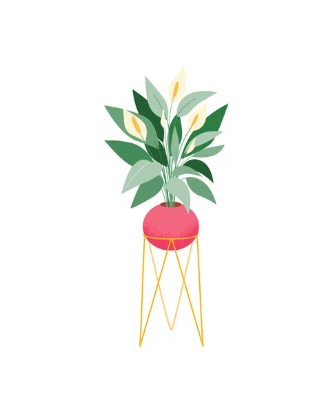 Potted casa planta vector icono. Spathiphyllum planta con flores en pie. Planta interior con hermoso follaje tropical. — Archivo Imágenes Vectoriales