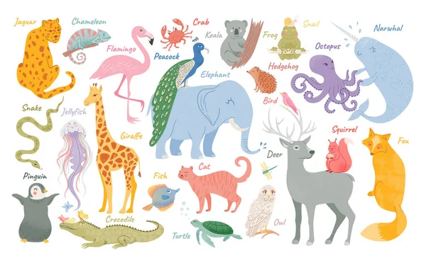 Ensemble d'animaux adorables drôles. Jungle exotique et animaux de savane, reptiles et oiseaux. Caractères enfantins. Habitants des forêts. — Image vectorielle