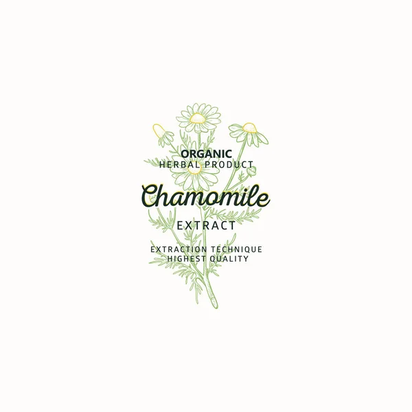 Manzanilla símbolo logotipo natural, vector de identidad de marca en línea estilo de boceto. Etiqueta de naturaleza dibujada a mano. Manzanilla planta medicinal con flores - Logo Plantilla elemento. — Archivo Imágenes Vectoriales