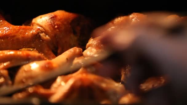 Pezzi di pollo fritto in forno — Video Stock