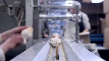 Otomatik dondurma üretim hattı