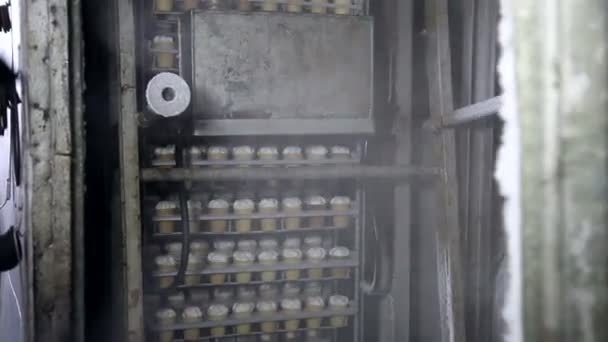 Automatic production line of ice cream — Stock Video