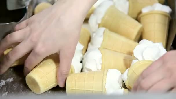 Ligne de production automatique de crème glacée — Video