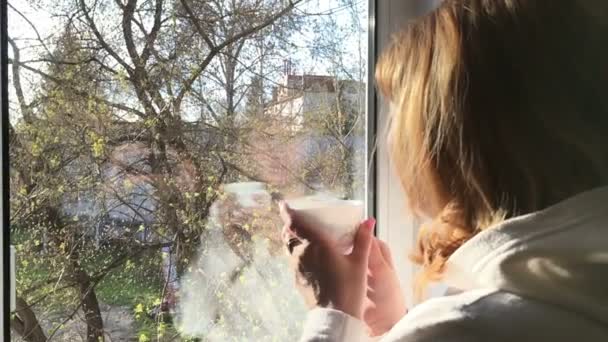 Vacker flicka dricka kaffe eller te nära fönstret. Slow motion — Stockvideo