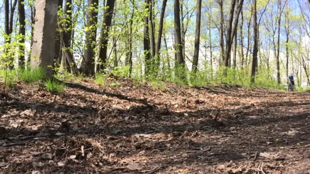 Chico montando rápido una bicicleta en el bosque. Movimiento lento — Vídeos de Stock