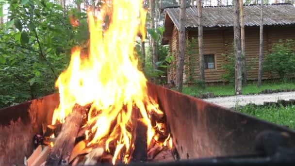 在火盆里燃烧的木柴。强火的烧烤. — 图库视频影像