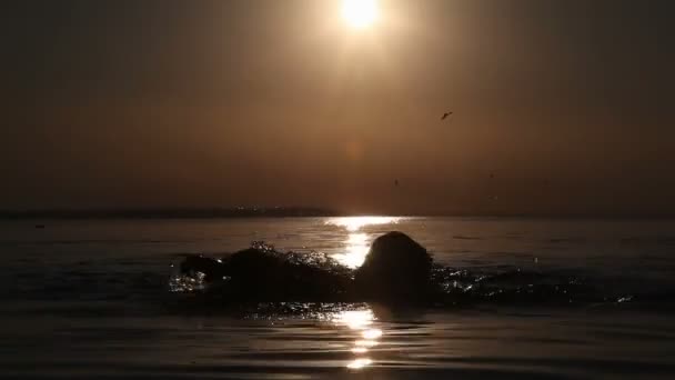 Мальчик плавает на закате — стоковое видео