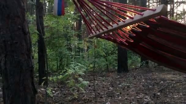 Hangmat opknoping op een boom bij zonsondergang — Stockvideo