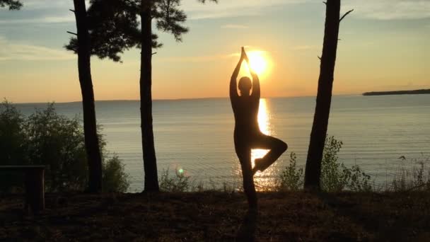 Sport dans la forêt au coucher du soleil — Video