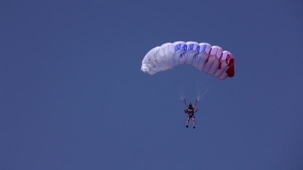 Fallschirmspringer im blauen Himmel — Stockvideo