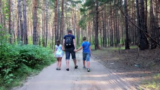 Vader en zoon en dochter lopen in bos — Stockvideo