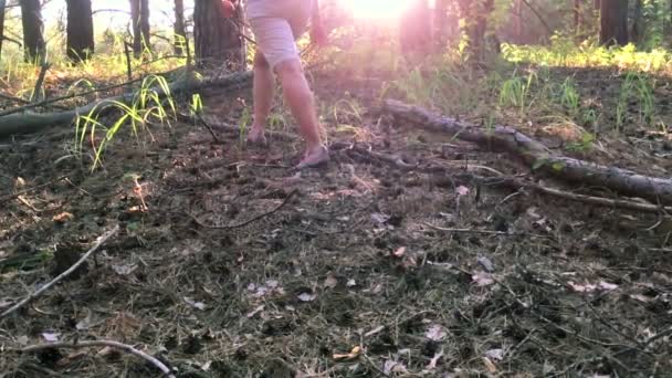 Вона подорожує лісом — стокове відео