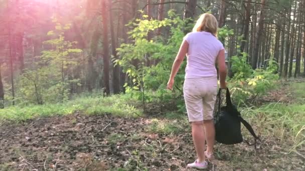 Jonge vrouwelijke wandelaar in bos. — Stockvideo