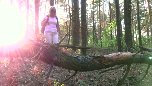 Γυναίκα που ταξιδεύει μέσα από το δάσος στο ηλιοβασίλεμα — Αρχείο Βίντεο