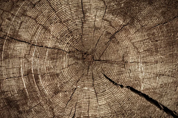 Velhos anéis de madeira textura com rachaduras fundo — Fotografia de Stock