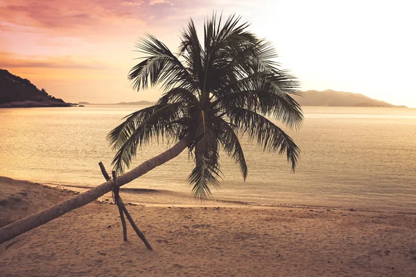 Tropisch strand zonsondergang — Stockfoto