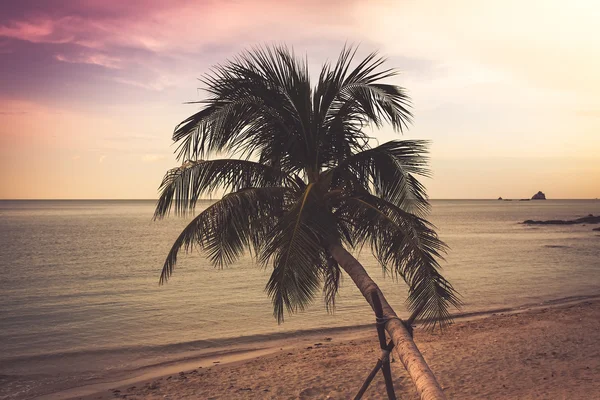 Tropisch strand zonsondergang — Stockfoto