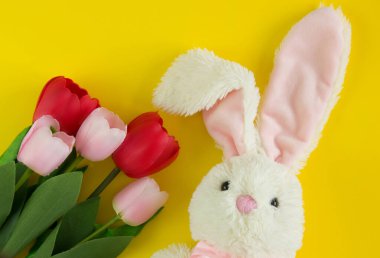 Pembe, kırmızı laleler ve sarı arka planda tavşan. Tasarım için arka plan. Bahar arka planı. - Evet. Bahar günü. Paskalya geçmişi. Paskalya. Boşluğu kopyala.