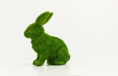 Beyaz arka planda izole edilmiş yeşil Paskalya tavşanı. Tasarım elementi. Paskalya için hazırlanılıyor.