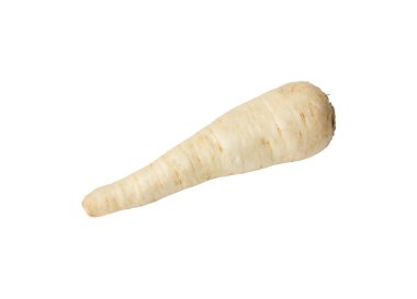 Beyaza izole edilmiş taze maydanoz kökü. Diyet ve sağlıklı yemek.