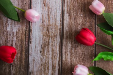 Kahverengi ahşap arka planda pembe ve kırmızı laleler. Tasarım için arka plan. Bahar arka planı. Anneler Günü. Kadınlar Günü. Bahar günü. Paskalya geçmişi. Paskalya. Boşluğu kopyala.