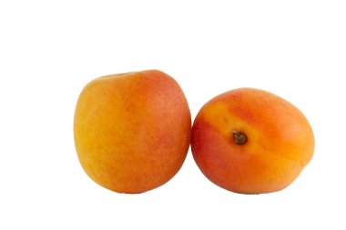 Beyaz arka planda izole edilmiş olgun kayısılar.