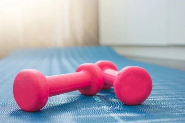 Two red dumbbells on a yoga mat. Concepts about fitness, sport and health. — Fotografia de Stock