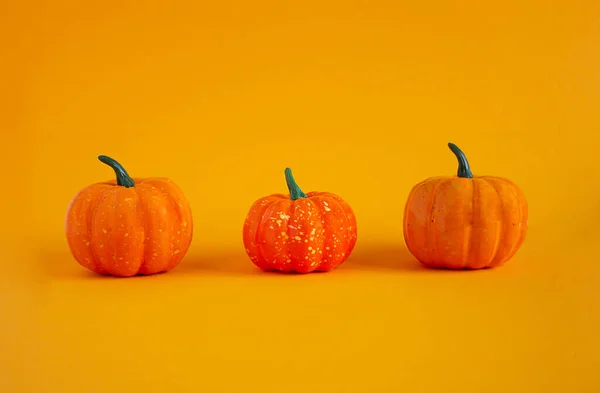 Abóboras em um fundo laranja. Espaço para cópia. Contexto para o projeto. — Fotografia de Stock