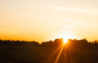 Dawn sunlight filters through trees, brightening the peaceful countryside.