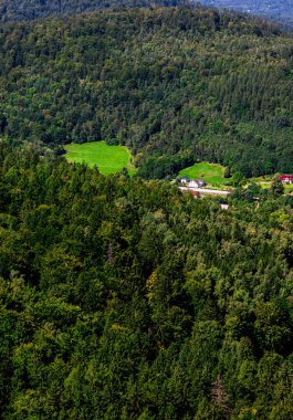 Green forest surrounds open fields with houses in the background on a sunny day.
