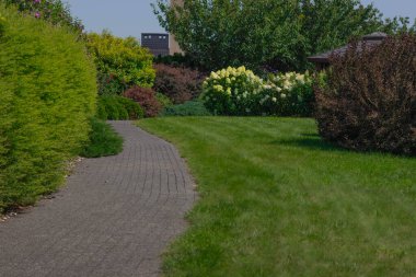 A paved path meanders through a vibrant garden with diverse plants and flowers.