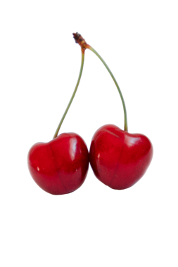 Yeşil saplı iki kırmızı kiraz beyaz arka plana yerleştirilir..