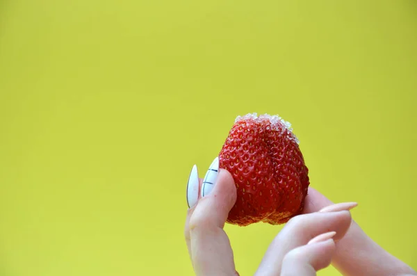 Eine Frauenhand mit gepflegten Nägeln, die eine saftige reife Erdbeere hält. — Stockfoto