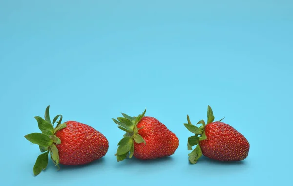 Frische rote Erdbeeren auf blauem Hintergrund. — Stockfoto