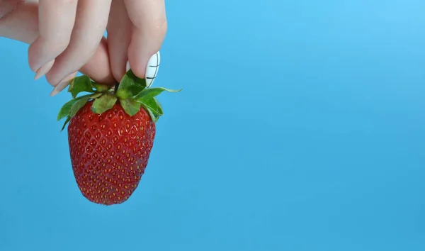 Erdbeeren in der Hand, auf blauem Hintergrund — Stockfoto