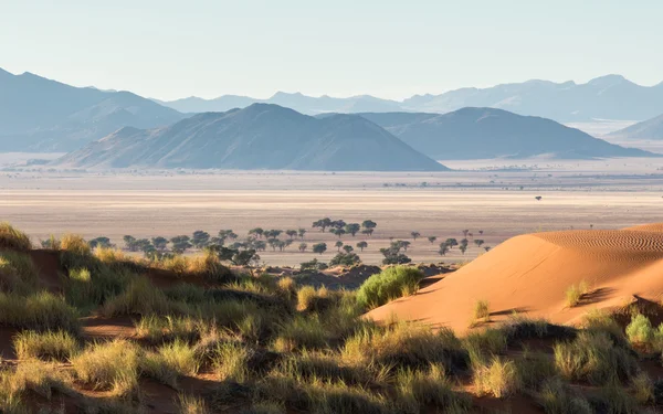 Písečné duny Namib Rand rezervace Namibie — Stock fotografie