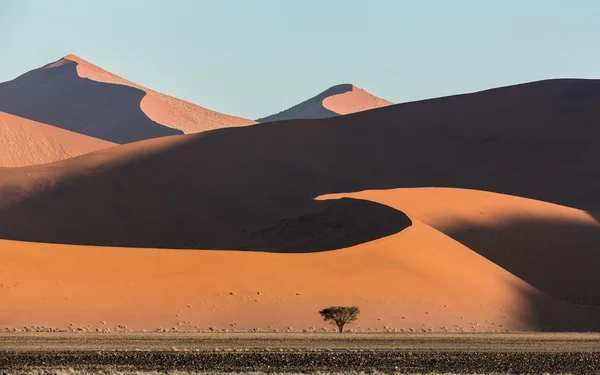 Západ slunce nad duny Sossusvlei Namibie Stock Fotografie