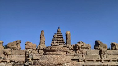 Dünyaca ünlü miras sitesi Sahil Tapınağı kumtaşında daha fazla heykel çalışması - Mahabalipuram, Tamil Nadu, Hindistan. Dünyaca ünlü miras sitesi.