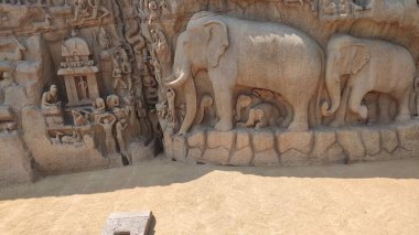 Hindistan 'ın Tamil Nadu kentindeki Mahabalipuram' da tek taşta resmedilen iki filin devasa anıtının ayrıntıları.