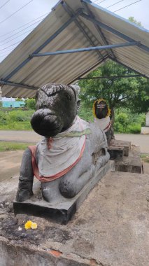 Stone carved two nandi bull, lord Shiva Hindu temple, padappai,Tamil Nadu
