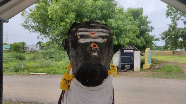 Stone Carved Nandi Bull Lord Shiva Hindu Temple — Stockfoto