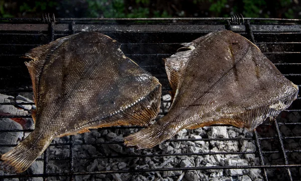 グリルで焼きヒラメ — ストック写真