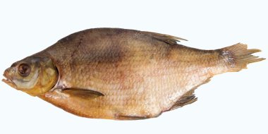 Beyaz arka planda izole edilmiş kurutulmuş balık