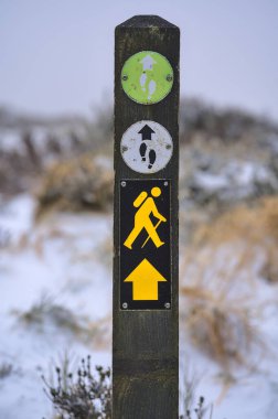 Peri Kalesi (Two Rock Mountain), Dublin Dağları, İrlanda 'ya giden yol boyunca güzel donmuş gorse çiçeklerine karşı ahşap direkte yürüyüş işareti (blaze) dikey görünümü