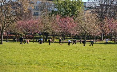 Yoga sınıfına katılan yetişkin insanların güzel sabah görüşü, güneşli bir günde Herbert Park, Dublin, İrlanda 'da çimlerin üzerinde sosyal mesafe çalışması ve yoga çalışmaları.