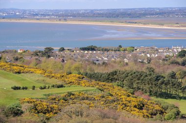 Ağaçlar ve sarı boğaz, İrlanda denizi, plaj, Dublin körfezi, Howth, Dublin, İrlanda 'dan görünen ev çatıları olan güzel hava manzaralı golf sahası. İrlanda manzaraları
