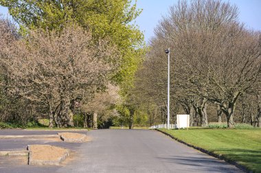 Bahar ağaçları boyunca uzanan güzel asfalt yolu manzarası ve Howth, Dublin, İrlanda 'da saatte 20 km hızla gidebilecek maksimum yol işareti. Yumuşak ve seçici odak