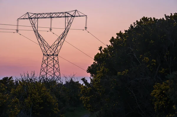 Beautiful Early Morning View Power Lines Electricity Transmission Pylon Epic — Stock Photo, Image