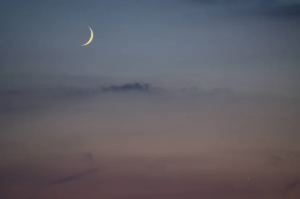 Bella Vista Serale Luna Crescente Venere Visto Ticknock Forest National — Foto Stock