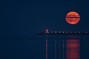 Dun Laoghaire deniz fenerleri arasında 23 Ağustos 2021 'de İrlanda semalarında yükselen ender rastlanan mavi mersin balığı ayı manzarası Sandymount Beach, Dublin, İrlanda' da görüldü. Dev Ay